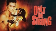 Only the Strong, la loi du plus fort wallpaper 