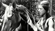 Tonka, cheval sauvage wallpaper 
