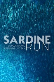 poster Sardine Run, le plus grand festin de l'océan