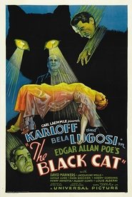 Poster of The Black Cat image size 670x1000