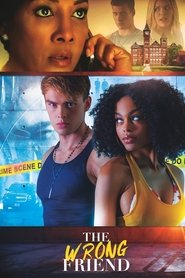 The Wrong Friend 2018 123movies