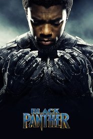 Poster of Black Panther image size 1000x1500