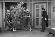 I Love Lucy season 6 episode 11