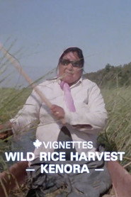 Canada Vignettes: Wild Rice Harvest Kenora poster