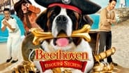 Beethoven : Le trésor des pirates wallpaper 