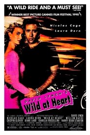 Poster of Wild at Heart image size 968x1452