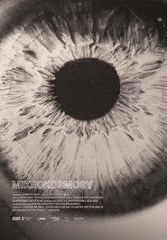 Universes poster