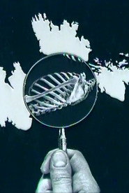 Photomontage Today: Peter Kennard poster