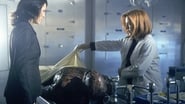 X-Files : Aux frontières du réel season 9 episode 19