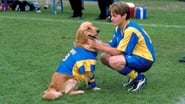 Air Bud 3 - le chien etoile wallpaper 