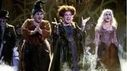 Hocus Pocus : Les Trois Sorcières wallpaper 