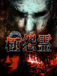 心霊THEドキュメント 極怨霊