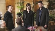 Castle season 2 episode 8