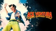 Ace Ventura en Afrique wallpaper 