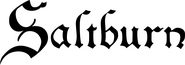 Logo of Saltburn image size 2954x1045