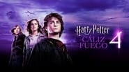 Harry Potter et la Coupe de feu wallpaper 