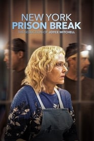 NY Prison Break: The Seduction of Joyce Mitchell 2017 123movies