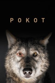 Voir film Spoor en streaming