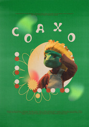 poster Coaxo