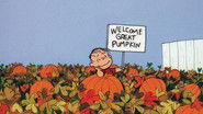 Backdrop of It's the Great Pumpkin, Charlie Brown image size 1920x1080