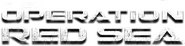 Logo of Operation Red Sea image size 4319x1076