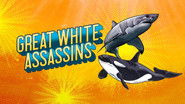 Great White Assassins