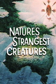 Nature's Strangest Creatures poster