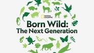 Born Wild: The Next Generation wallpaper 