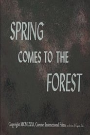 poster Spring Comes to the Forest