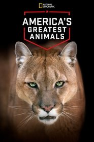 Poster of America's Greatest Animals image size 2000x3000