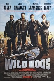 Poster of Wild Hogs image size 1030x1544