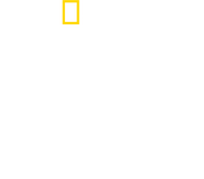 Logo of The Real Right Stuff image size 1482x1300
