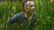 The Survivalist wallpaper 