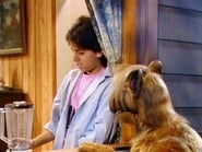 Alf season 2 episode 13