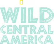 Logo of Wild Central America image size 1321x1079
