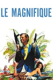 Voir film Le Magnifique en streaming