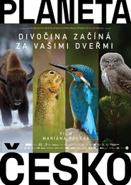 poster Wilder Than Wilderness