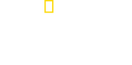 Logo of Fauci image size 2628x1300