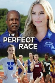 poster The Perfect Race