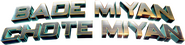 Logo of Bade Miyan Chote Miyan image size 1273x312