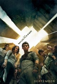 Poster of The Maze Runner image size 648x960