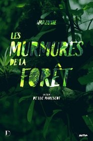 poster Amazonie, les murmures de la forêt
