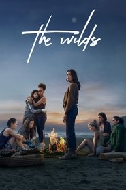 Poster of The Wilds image size 2000x3000