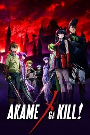 Poster of Akame ga Kill! image size 1000x1500