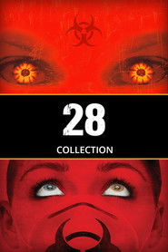 Poster image size 1000x1500