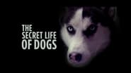 The Secret Life of Dogs  