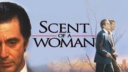 Scent of a Woman Backdrop of Scent of a Woman image size 1280x720