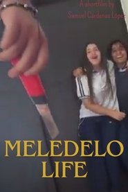 poster MELEDELO LIFE