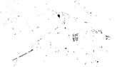 Logo of One Night Stand Murder image size 947x480