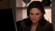 Bones season 2 episode 19